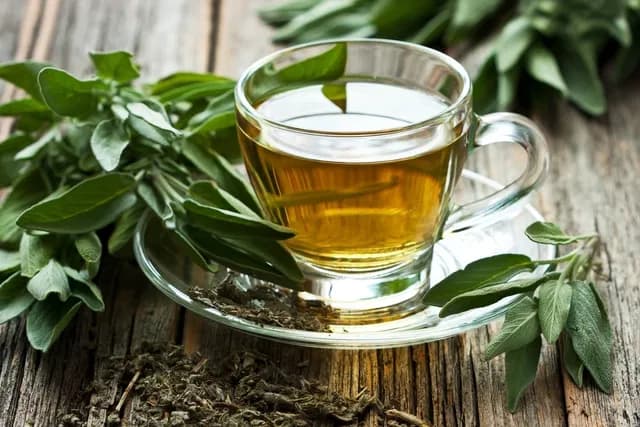 imagen de Beneficios del Té Verde